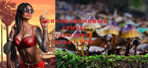 не бодяженный Алзамай