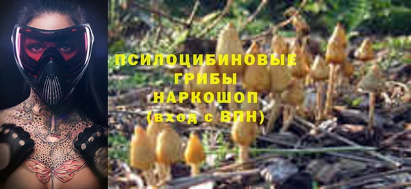 первитин Алексин