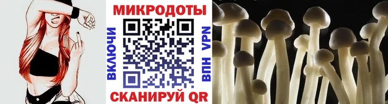 Псилоцибиновые грибы мухоморы  где купить наркоту  Красногорск 