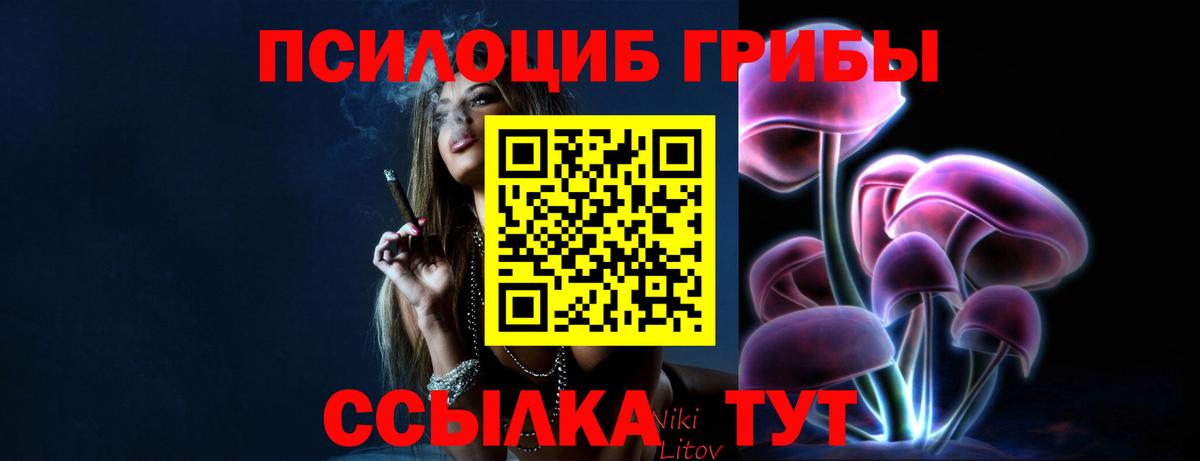 Галлюциногенные грибы MAGIC MUSHROOMS Красногорск